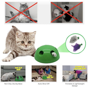 2019 New Cat Toy Pop Play Pet Toy Ball